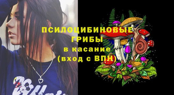 apvp Алексин