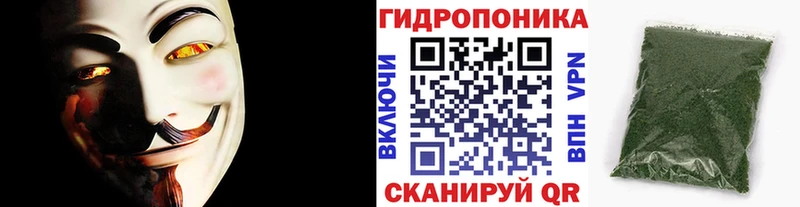 Канабис конопля  Любим 
